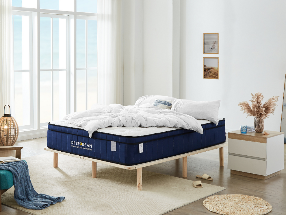 Lifely Premium Sleep Combo (Queen)