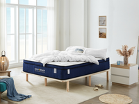Lifely Premium Sleep Combo (Queen)