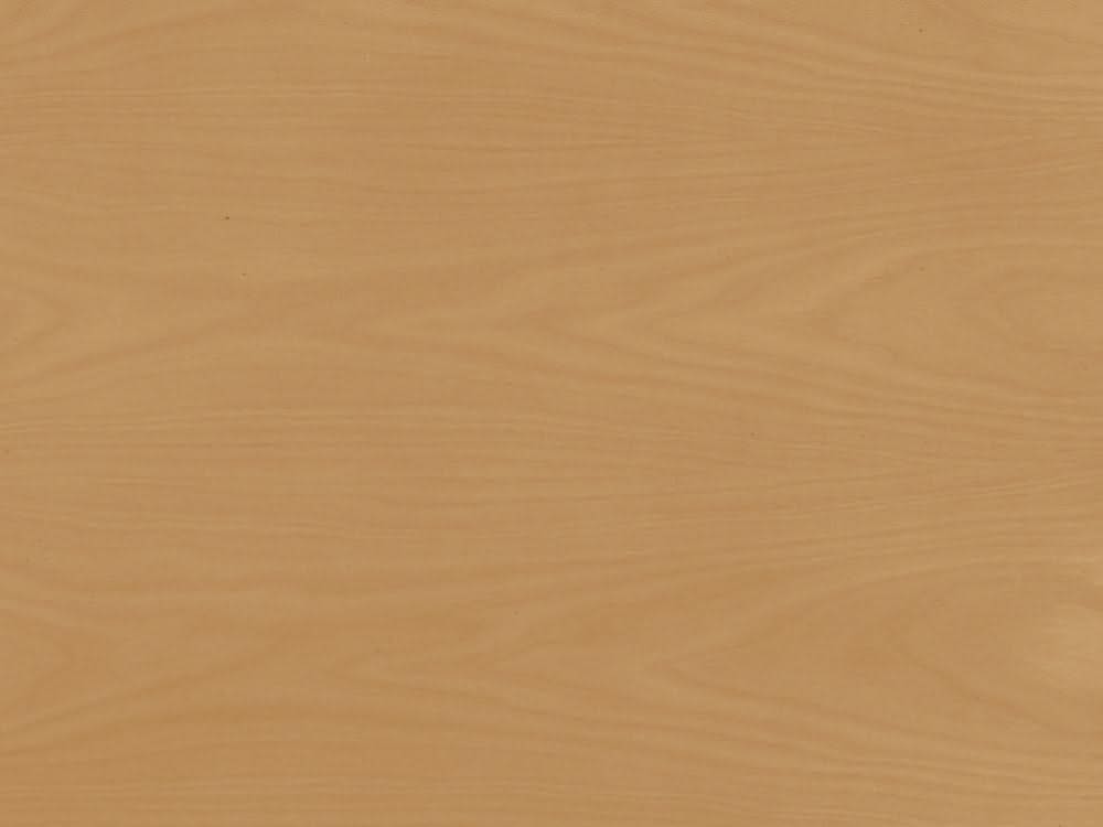 Lola Bookshelf