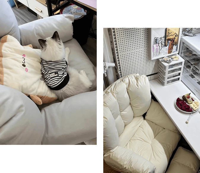 Sofa Review Image 1